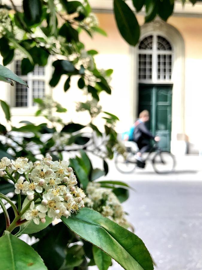 Historical, Bright & Beautiful In Old City - 3Rd Floor Berna Exterior foto